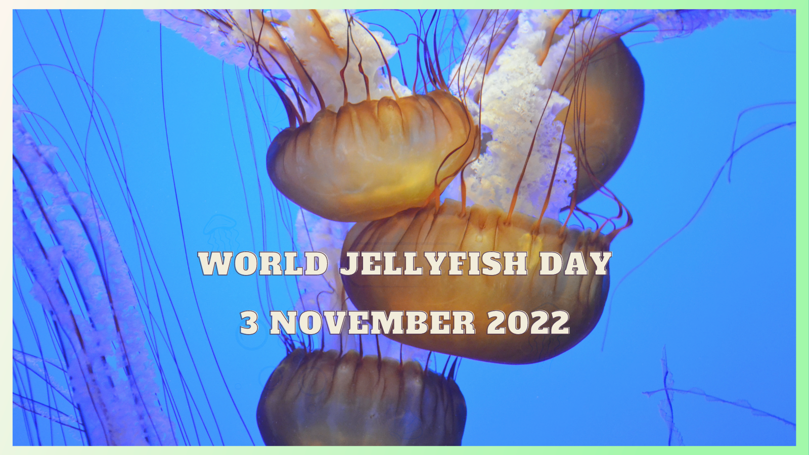 Celebrate-World-jellyfish-Day--Twitter-Post.png