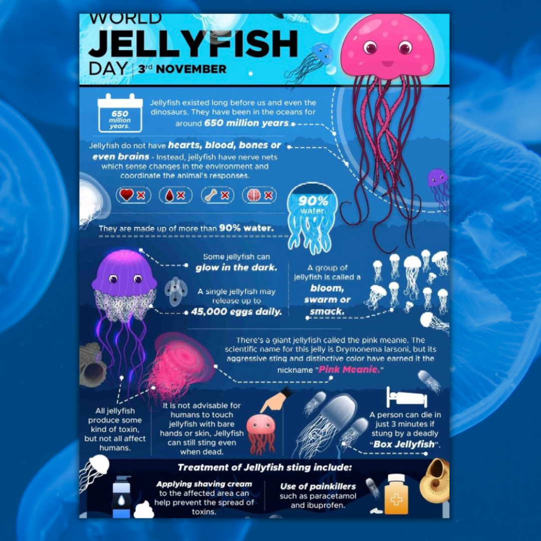 Celebrate-World-jellyfish-Day-B.png